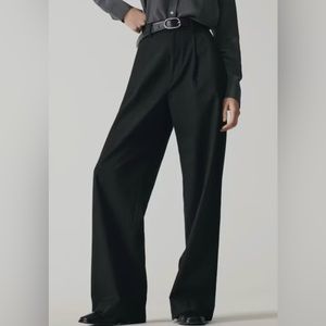 Everlane Way High Drape Pant